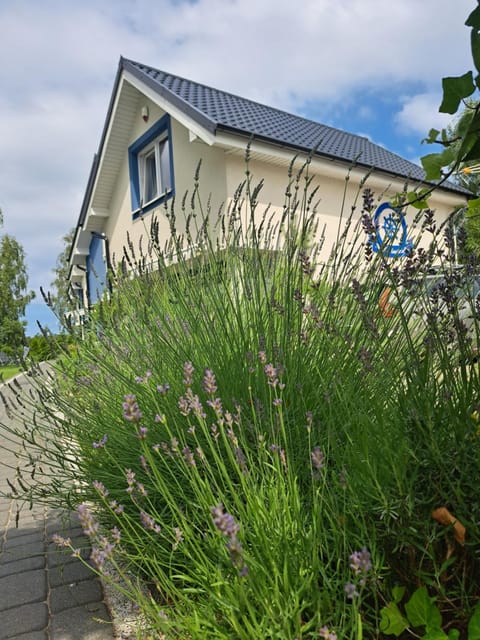 Property building, Garden, Garden view