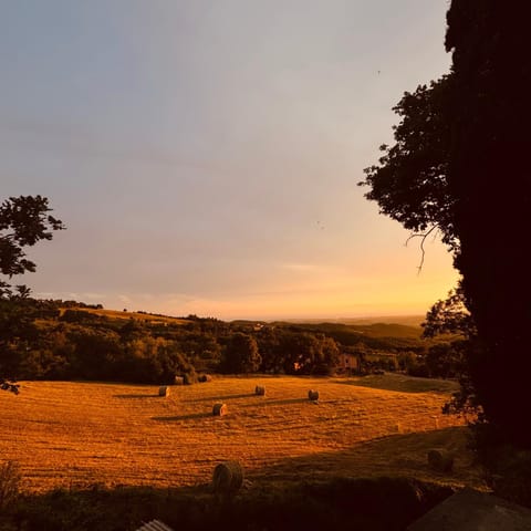 View (from property/room), Sunset