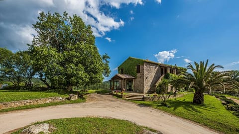 Restaurant/places to eat, Lounge or bar