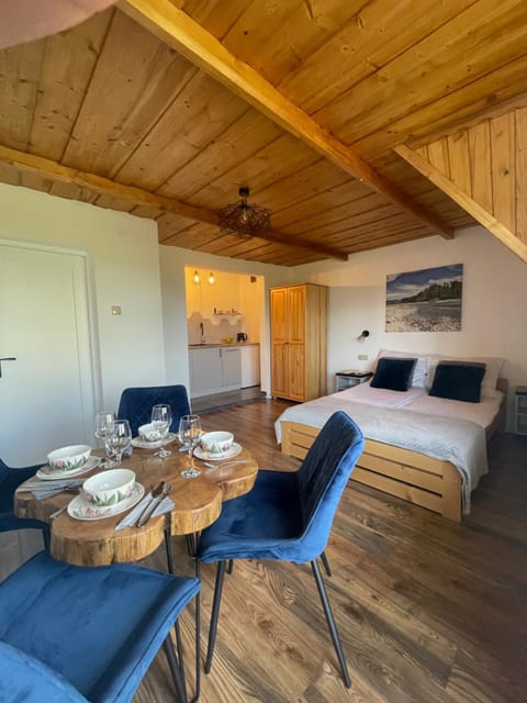 Kitchen or kitchenette, Dining area, Bedroom