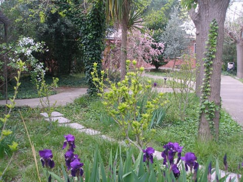 Area and facilities
