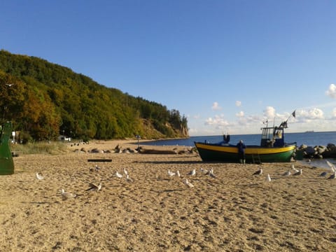 Day, Neighbourhood, Natural landscape, Beach, Hiking, Cycling