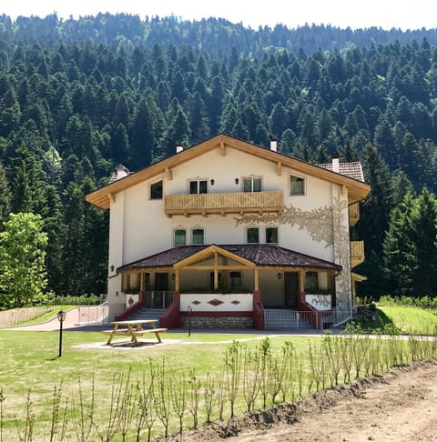 Facade/entrance, Summer, Garden view, Inner courtyard view
