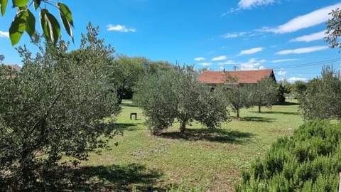 Property building, Day, Natural landscape, Garden, Garden view