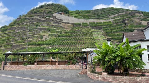 Winzerschenke Inn in Bad Neuenahr-Ahrweiler