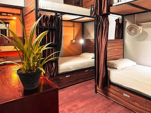 Bed, Photo of the whole room, bunk bed