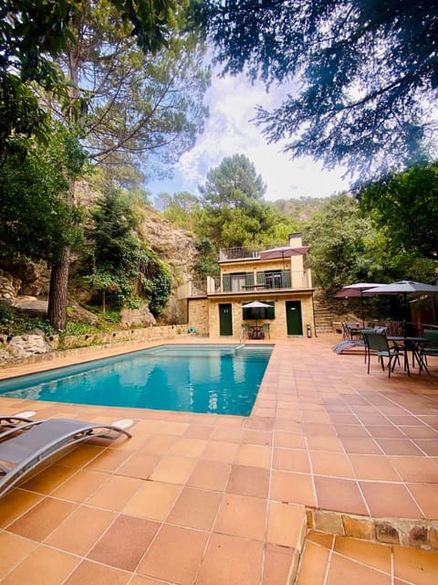 Garden, Swimming pool