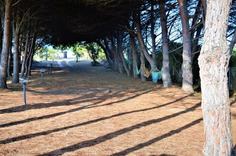 Pineta Spiaggia Grande 2 House in Sardinia