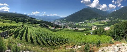 BUEHLERHOF Urlaub mit Kind & Hund, Obst-& Weingut, Brixen Farm Stay in Trentino-South Tyrol