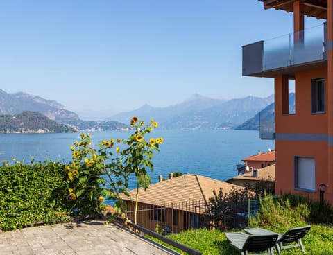 Lake view