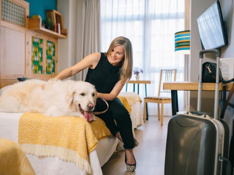 People, TV and multimedia, Pets, Guests