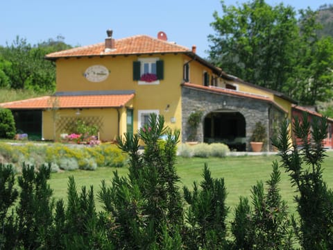 Property building, Day, Garden