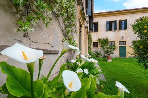 Property building, Spring, Garden, Balcony/Terrace
