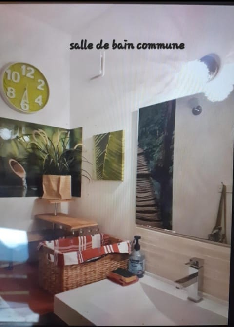 Lac et montagnes en un clin d'oeil Vacation rental in Doussard