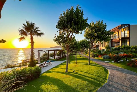 Property building, Natural landscape, Sea view, Sunset