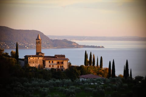 Lake view