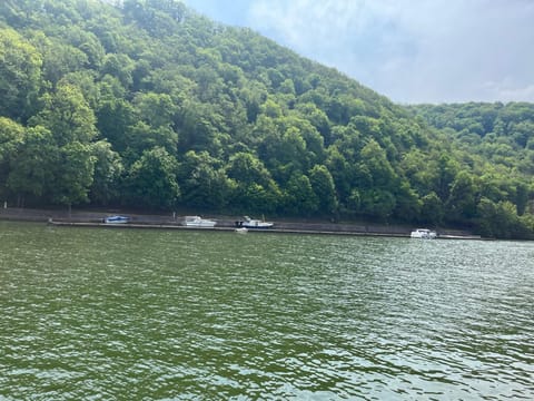 Entre Roche & Meuse House in Dinant