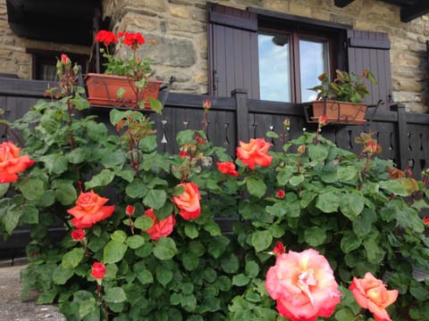 Facade/entrance, Other