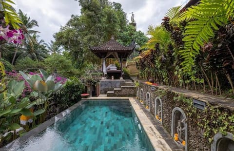 Natural landscape, Pool view, Area and facilities, Swimming pool