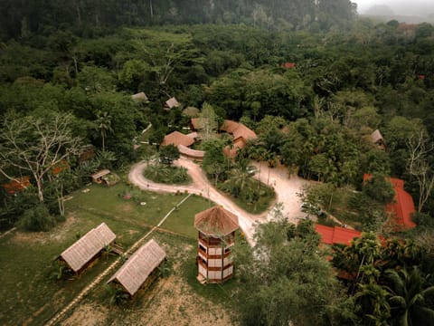 Garden, View (from property/room), Garden view, Area and facilities