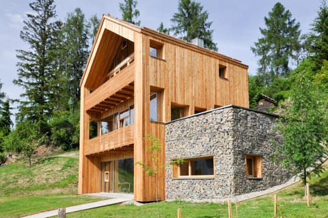 Smart Wood House House in Carinthia, Austria