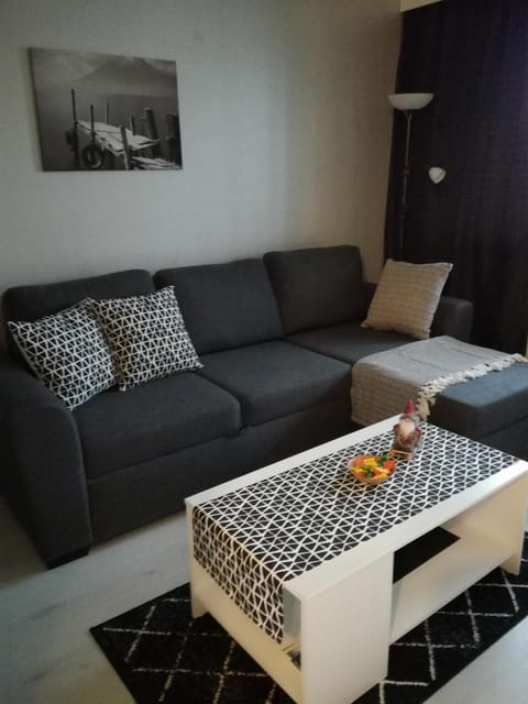 A lovely one-room apartment near the city centre. Apartment in Finland