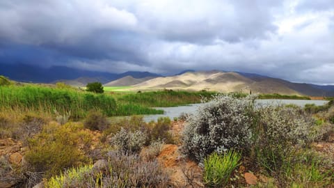 Natural landscape, Lake view
