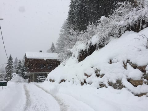 Arbroz Chalet in Les Gets