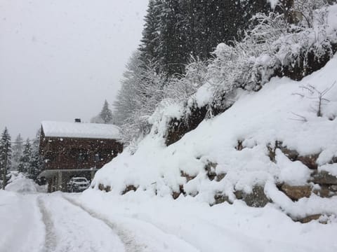 Arbroz Chalet in Les Gets