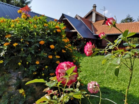 Guesthouse Ramović Bed and Breakfast in Zlatibor