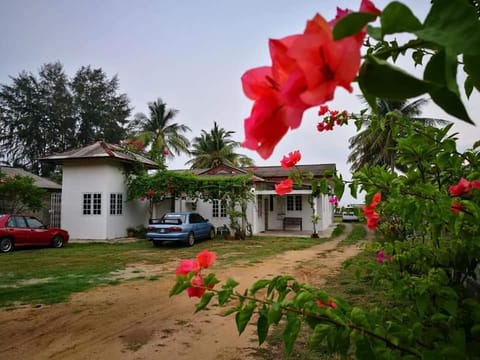 Property building, Natural landscape, Garden