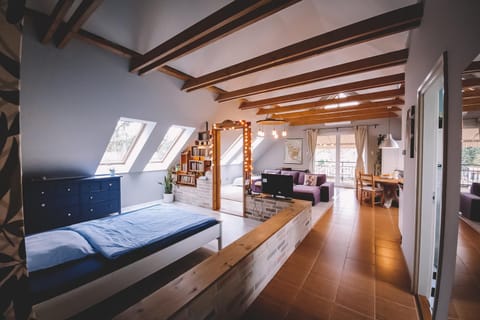 Day, Library, TV and multimedia, Living room, Photo of the whole room, Decorative detail, Seating area, Bedroom