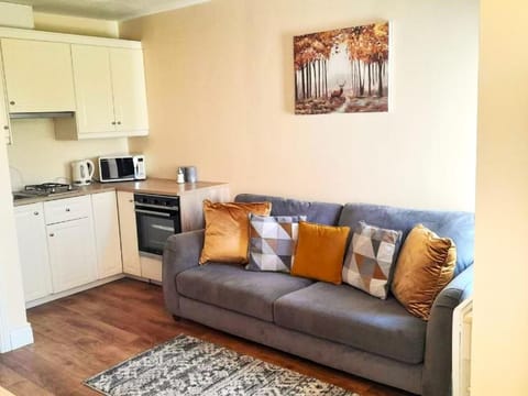 Delphi Lodge Apartment in County Dublin