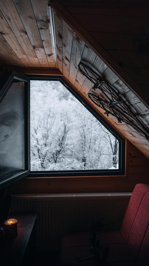 Apartman Pustolov - Stara planina Apartment in Serbia