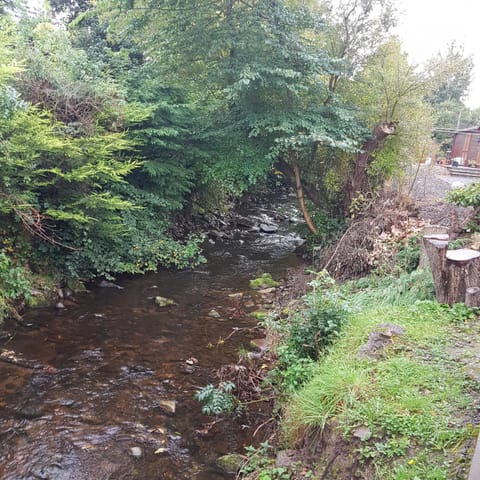 Bear Lodge Nature lodge in Scotland