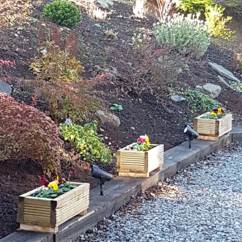 Bear Lodge Nature lodge in Scotland