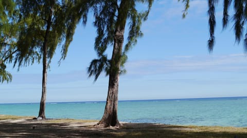 Nearby landmark, Natural landscape, Beach