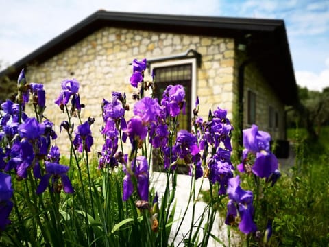 Day, Garden, Garden, Inner courtyard view