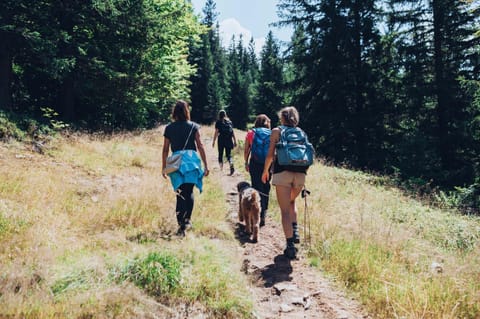 Spring, Natural landscape, Summer, Hiking, group of guests, Family