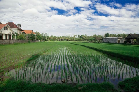 Natural landscape