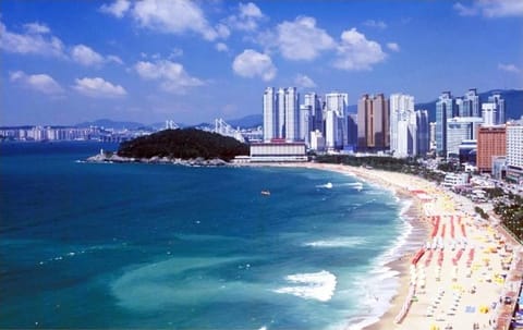 Nearby landmark, Neighbourhood, Natural landscape, Other, Beach
