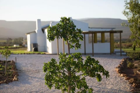 Natural landscape, Garden view