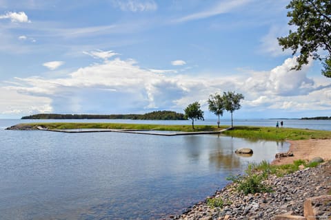 Lake view