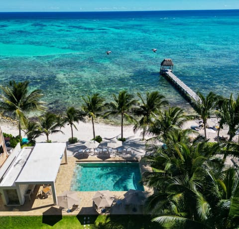 Bird's eye view, Sea view