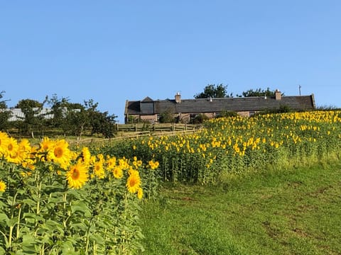 Property building, Natural landscape, View (from property/room), Garden view