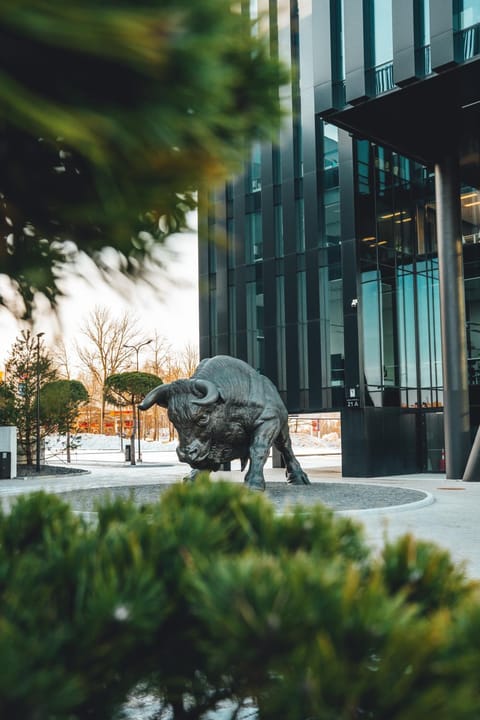 Property building, Day