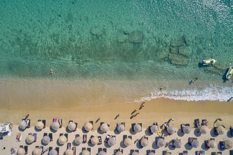Beach, group of guests