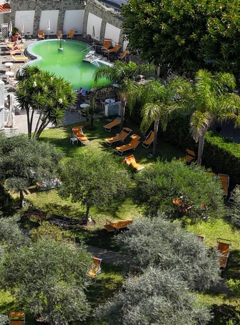 Garden, Solarium, Swimming pool