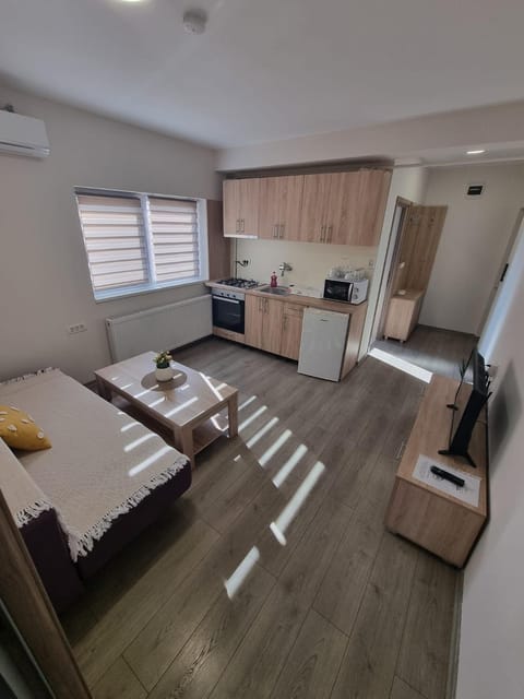 Kitchen or kitchenette, Living room, Seating area, Dining area, oven, air conditioner