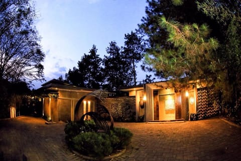 Property view